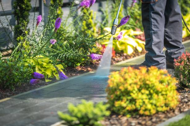 Best Animal Enclosure Cleaning  in Maitland, FL